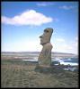 easter_island.jpg (2731 bytes)